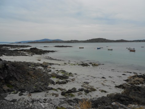 Regolamento concorso Alcova letteraria – Prima Edizione (concluso)