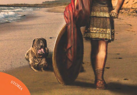 Il Diwan rosso di Placido Petino (CTL Editore)