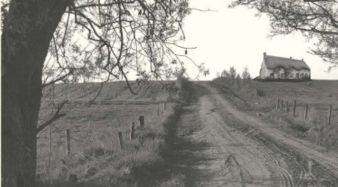 Assist di Massimo Starita (CTL)