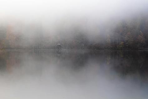 Il silenzio del lago di Angelarosa Weiler (Aurea Nox)