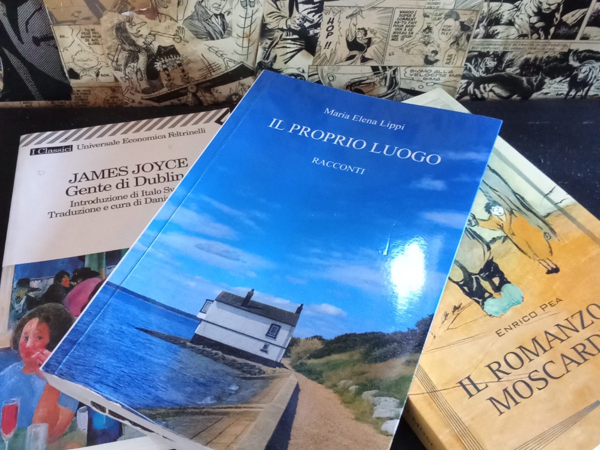 Il proprio luogo di Maria Elena Lippi (CTL Editore)